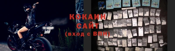 шишки Богородицк