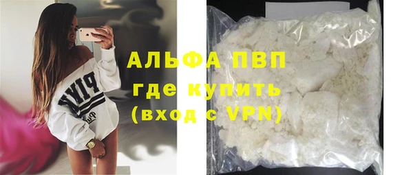 шишки Богородицк