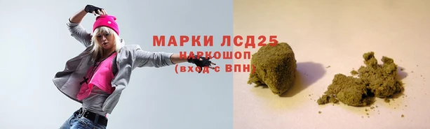 шишки Богородицк