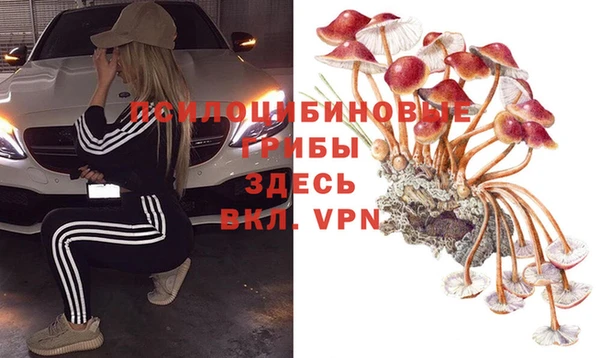 шишки Богородицк
