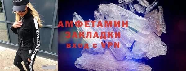 шишки Богородицк