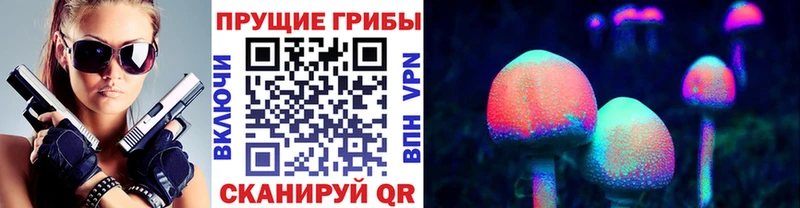 Псилоцибиновые грибы Psilocybe Дудинка