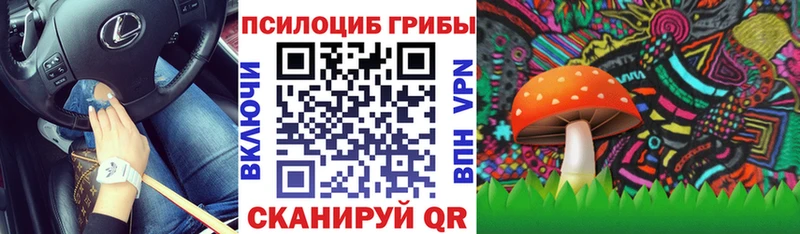 блэк спрут   что такое наркотик  Дудинка  Галлюциногенные грибы мухоморы 
